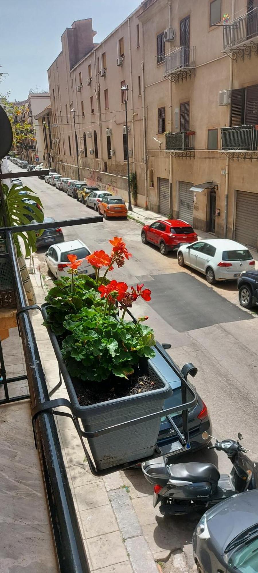 Civico 67 Apartamento Palermo Exterior foto